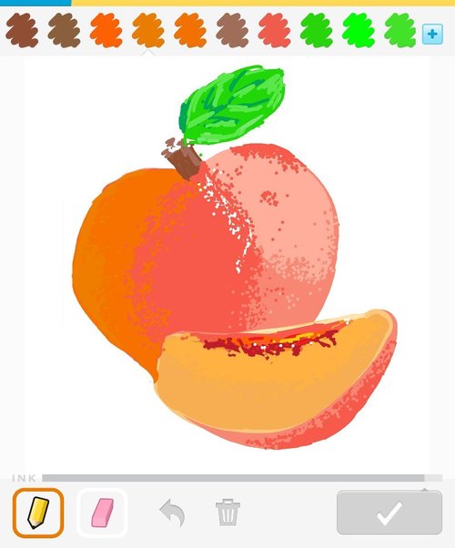 500x602 Peach Drawings