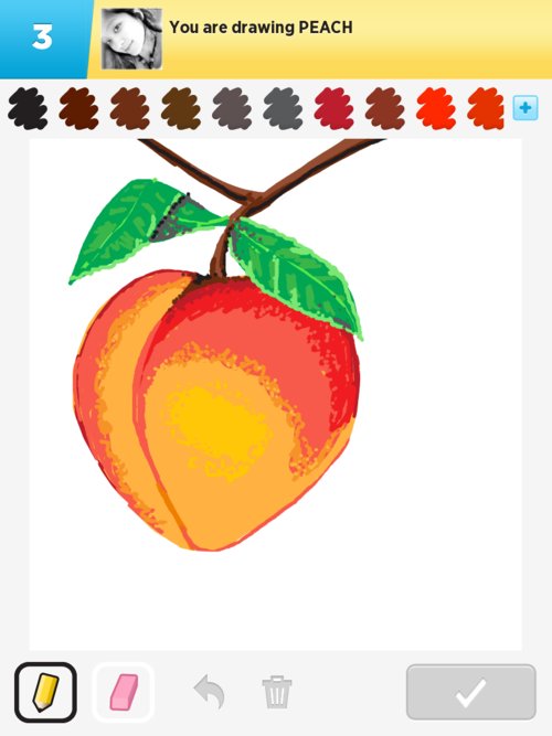 500x667 Peach Drawings