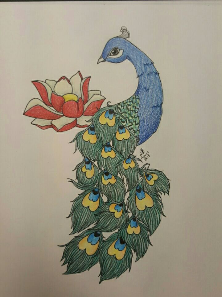 720x960 Peacock And Lotus Flower Tattoo Design By Lisakat98