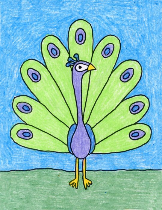 541x700 Simple Peacock Drawing