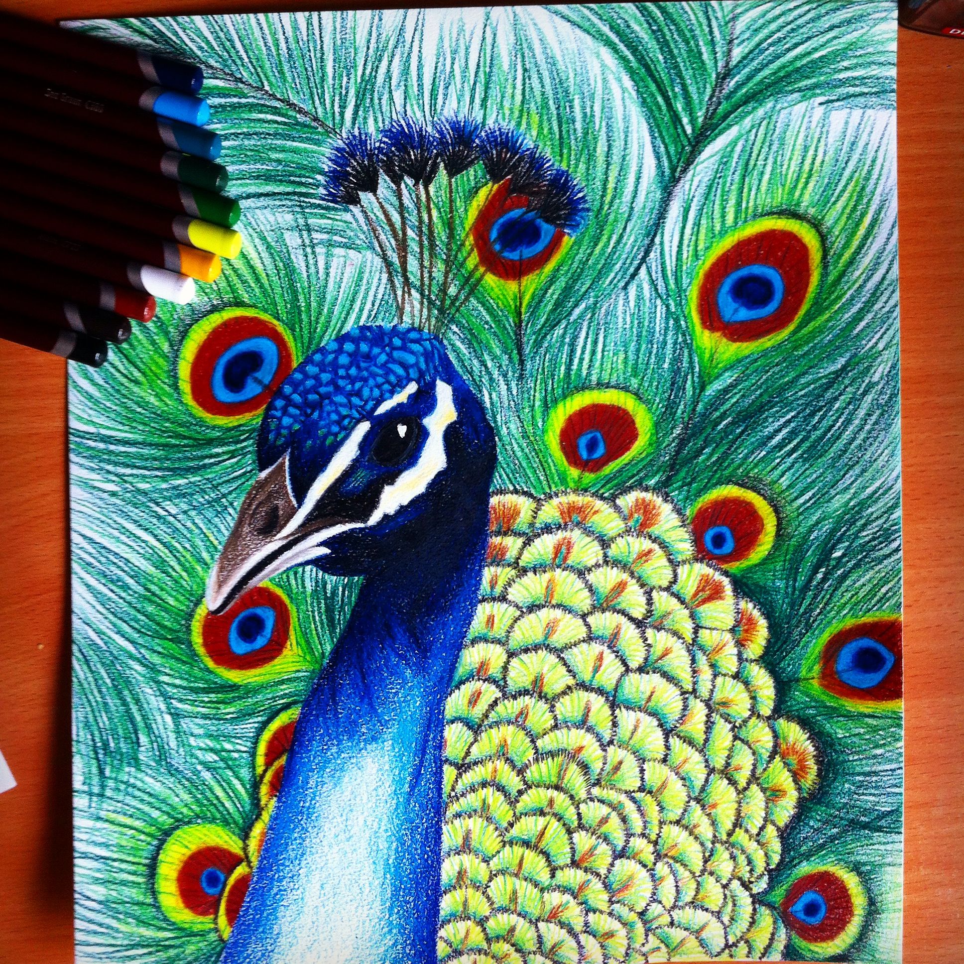 1936x1936 Peacock Drawing Coloring Peacock Drawing, Colored