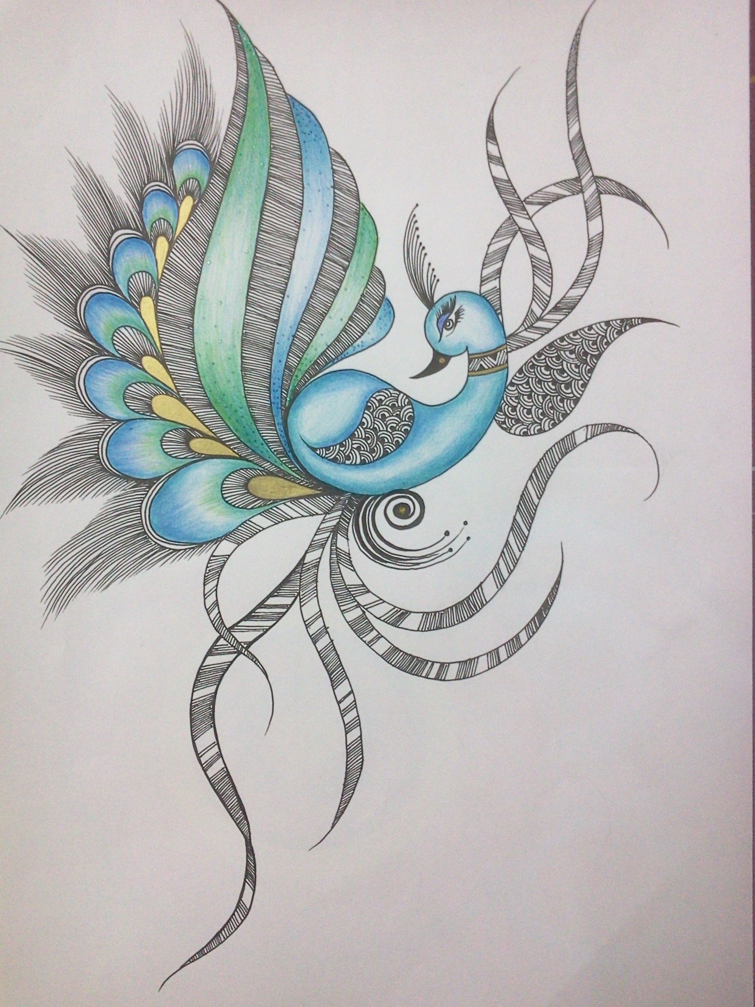 1536x2048 Peacock drawing Food For My Right Brain Peacock