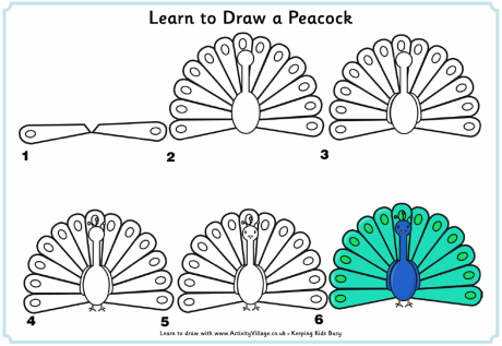460x317 Learn To Draw A Peacock 0.gif