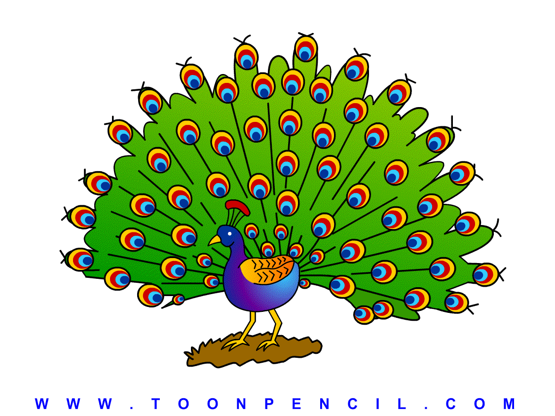 1125x843 310 Learn How To Draw A Peacock For Kids, Step By Step, Kids