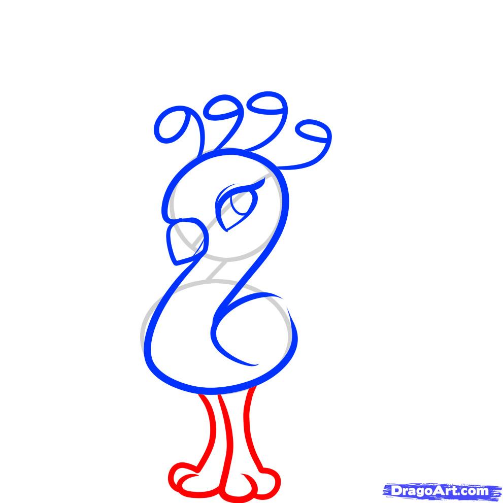 991x991 How To Draw A Peacock For Kids Step 4 Drawing