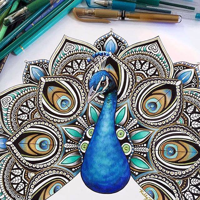 640x640 40 Beautiful Bird Drawings And Art Works For Your Inspiration