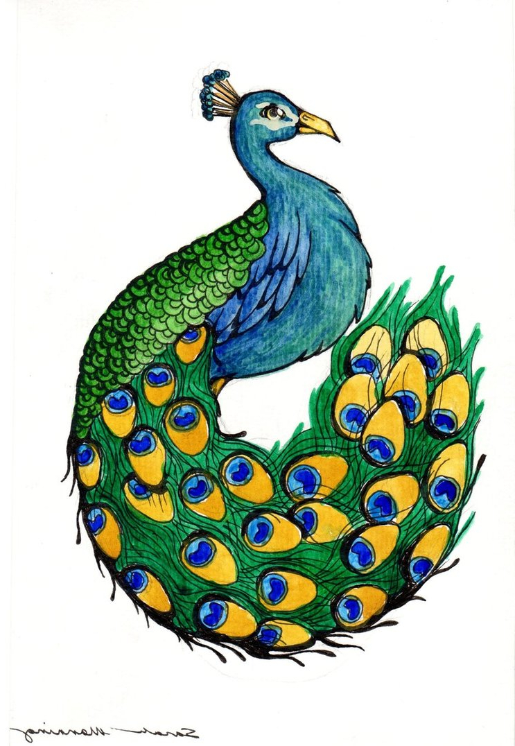 743x1076 Simple Colorful Peacock Drawing Simple Peacock Drawing Simple