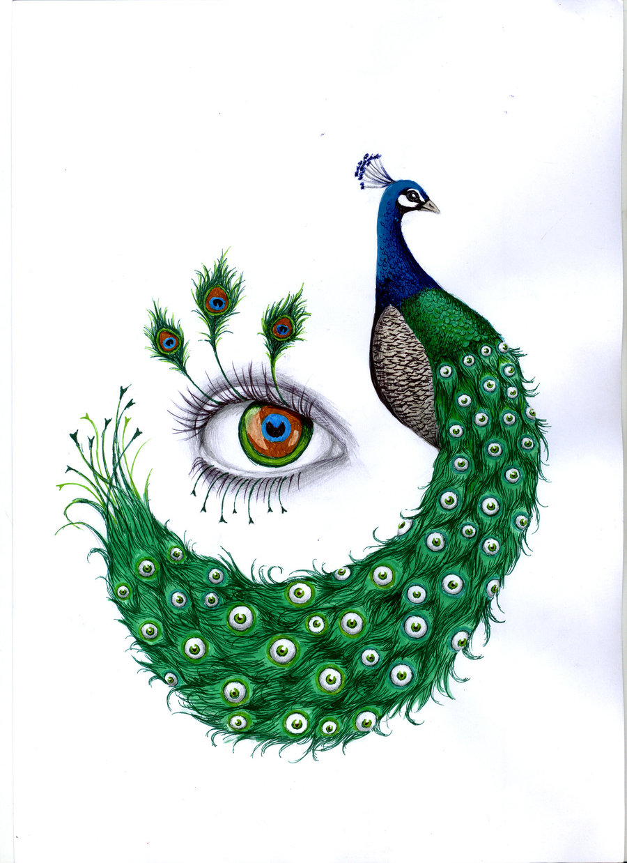 900x1238 How To Draw A Peacock For Kids, Step By Step, Animals For Kids