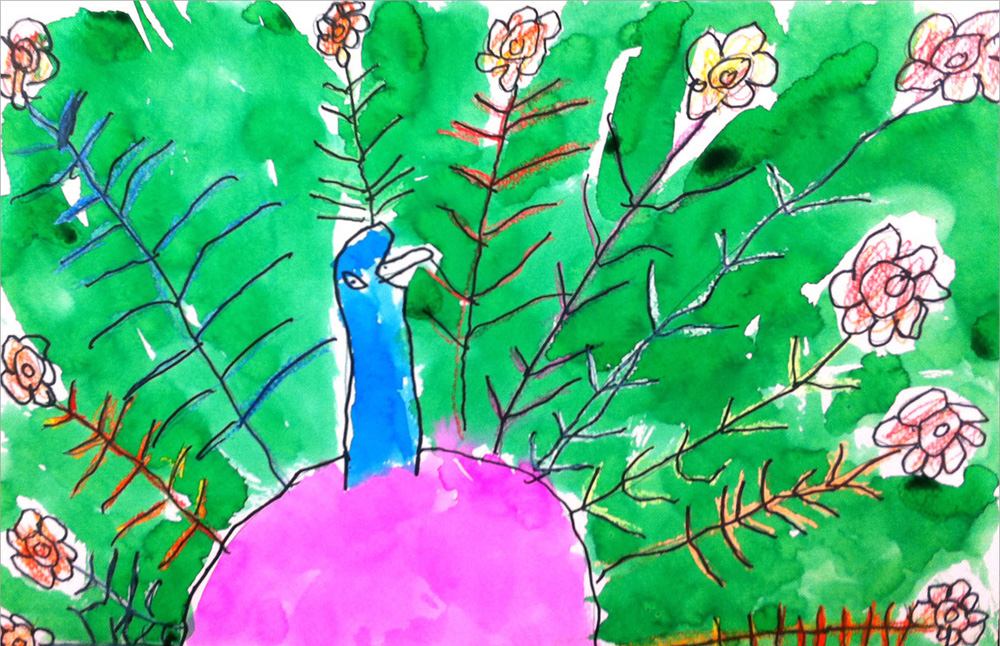 1000x646 Peacock Watercolor Painting