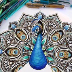 250x250 Peacock Drawing, Pencil, Sketch, Colorful, Realistic Art Images