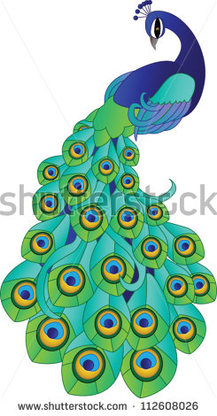 245x470 Peacock Clipart Easy Draw