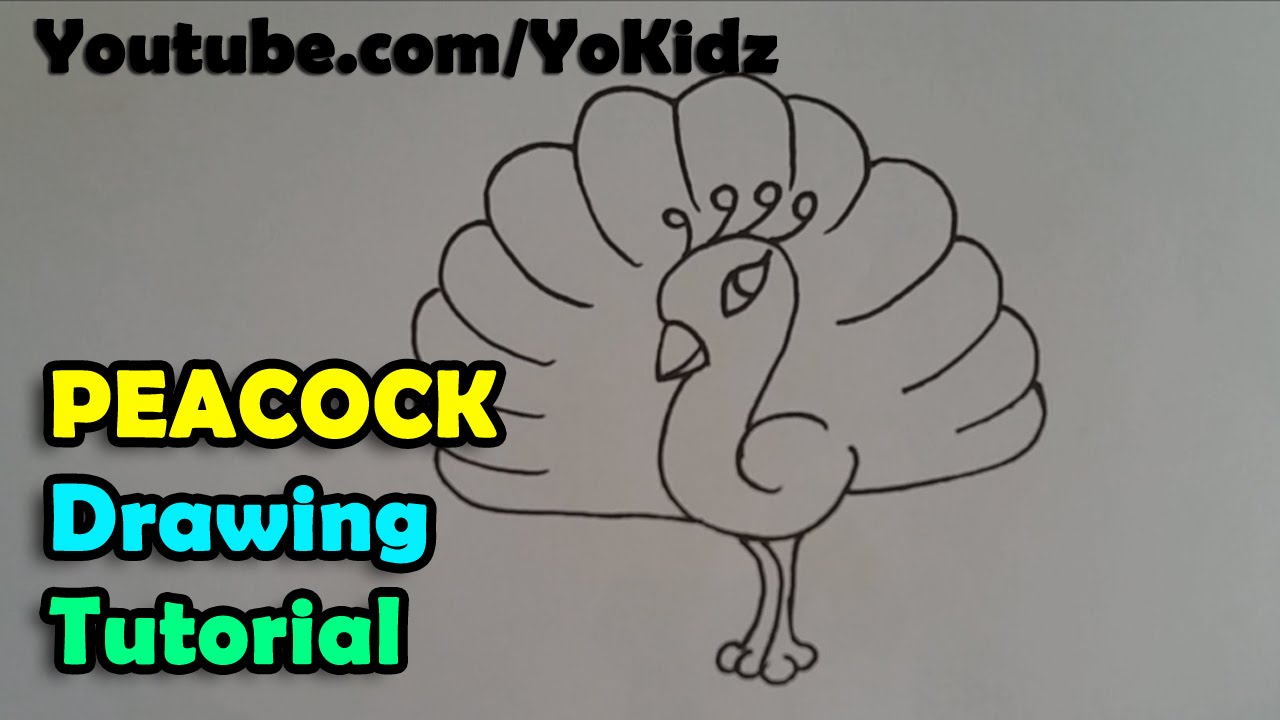1280x720 How To Draw Cartoon Peacock For Kids Easy And Simple