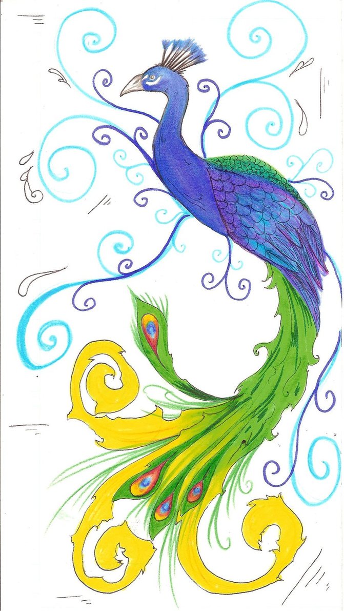 671x1191 Peacock Drawings Peacock Drawing By ~panda Odono