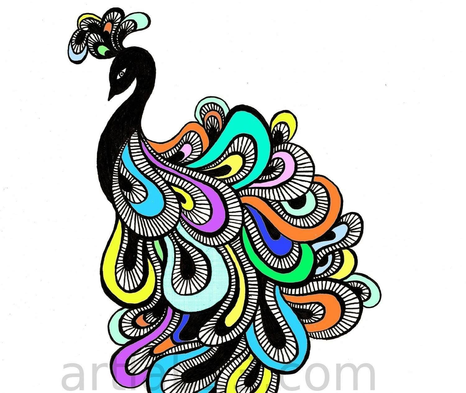 1500x1263 Pin By Meri Keiser On Peacocks Peacock