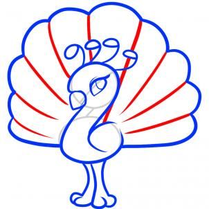 302x302 How To Draw A Peacock For Kids, Step By Step, Animals For Kids