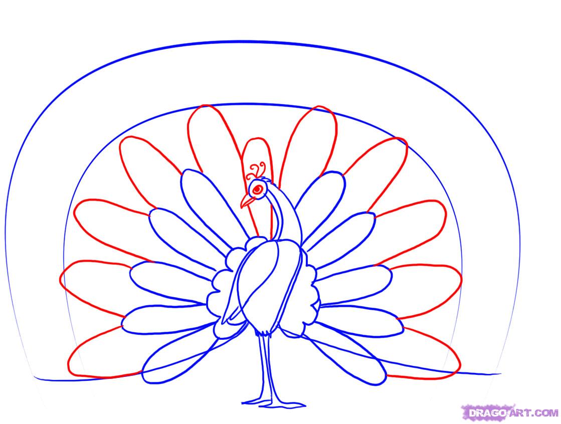 1119x846 Peacock Drawing Step By Step