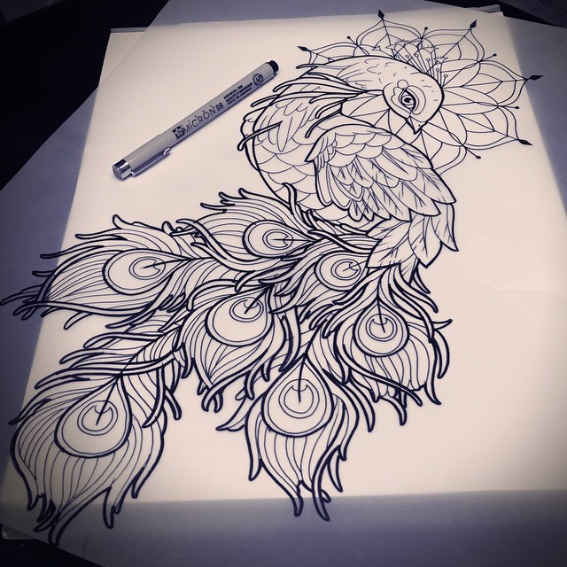 640x640 Peacock Drawing