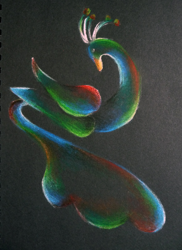 581x800 Peacock Colour Drawing By Ashbob87