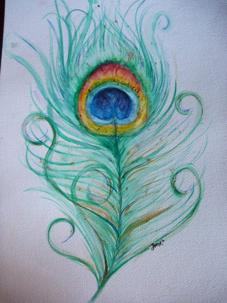 774x1032 Images For Gt How To Draw A Realistic Peacock Feather Everything