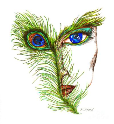 399x434 Peacock Drawings For Peacocks