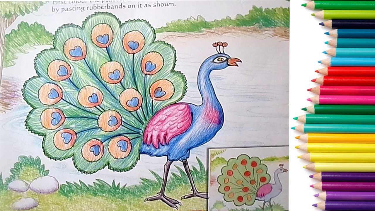 1280x720 How To Draw A Peacock Step By Step In Easy Method Drawing