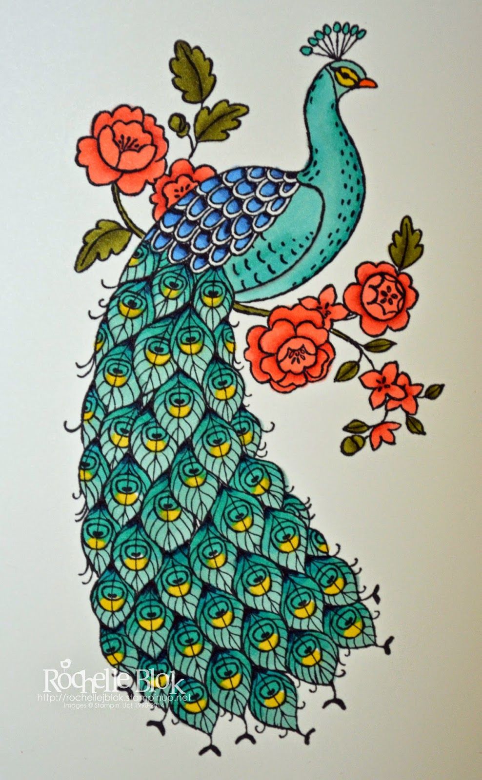 Peacock Images For Drawing at GetDrawings | Free download
