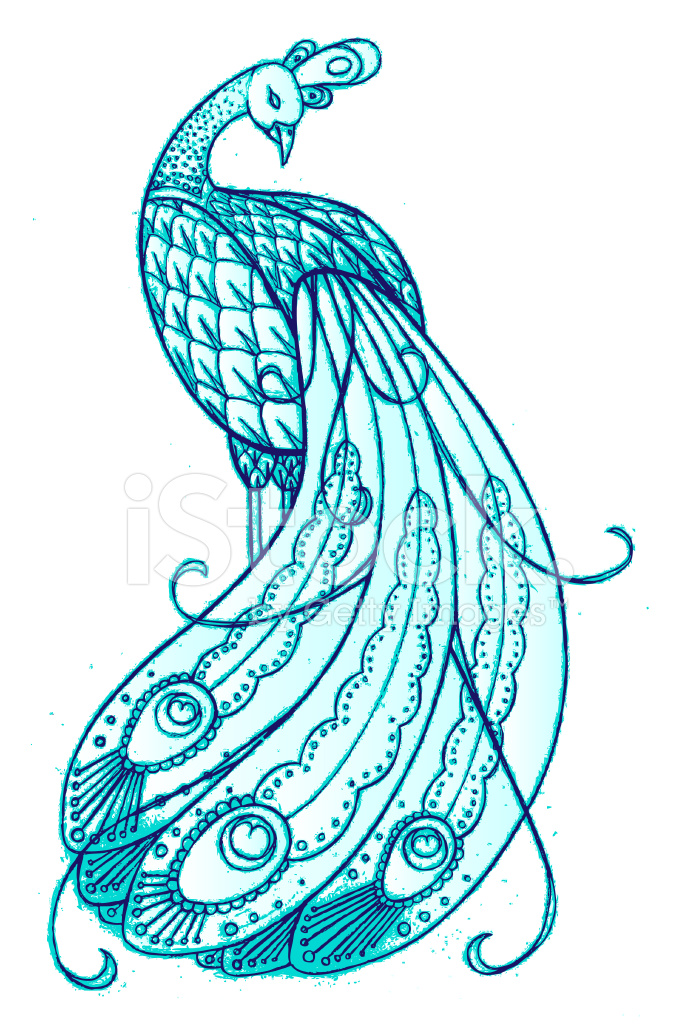 698x1024 Hand Drawn Peacock Stock Vector