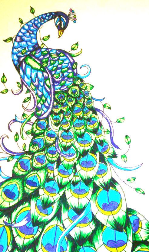 492x834 Pin By Elizabeth Young On Peacocks Peacock Art