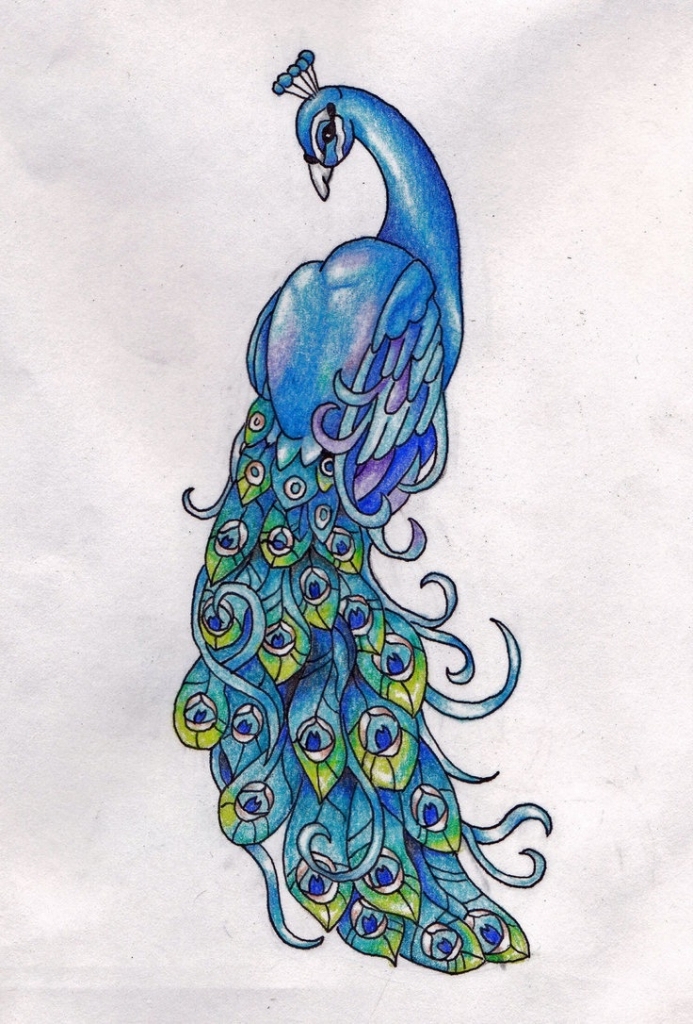 693x1024 Peacock Drawing Images Peacock Drawings More From Party