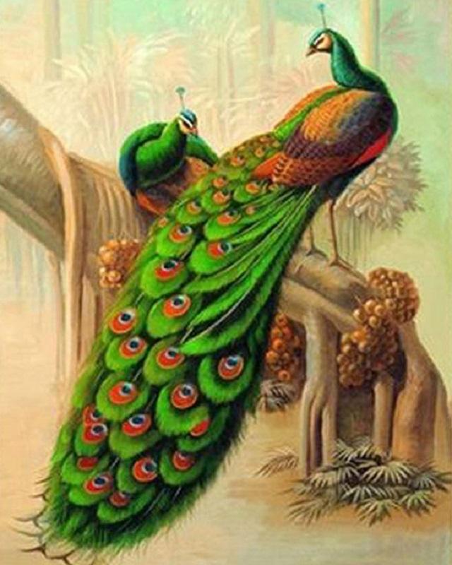 640x800 Simple Peacock Drawing Simple Colorful Peacock Drawing Gallery