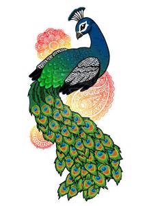 212x300 Images Of Peacock For Drawing