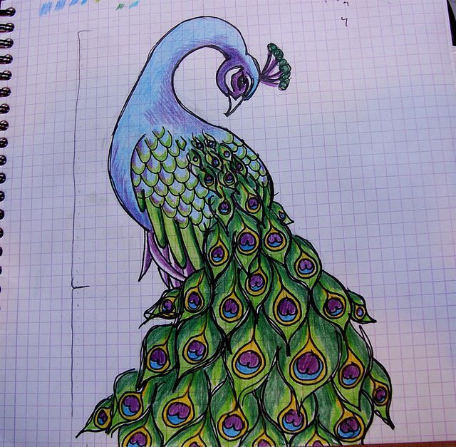 640x627 Kuvahaun Tulos Haulle Peacock Drawings