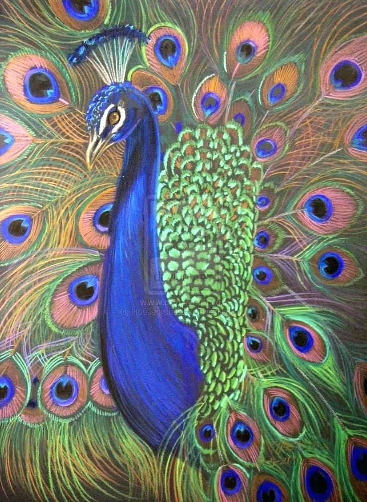 736x1006 Peacock Color Drawing Drawing Lessons For Beginners A Peacock