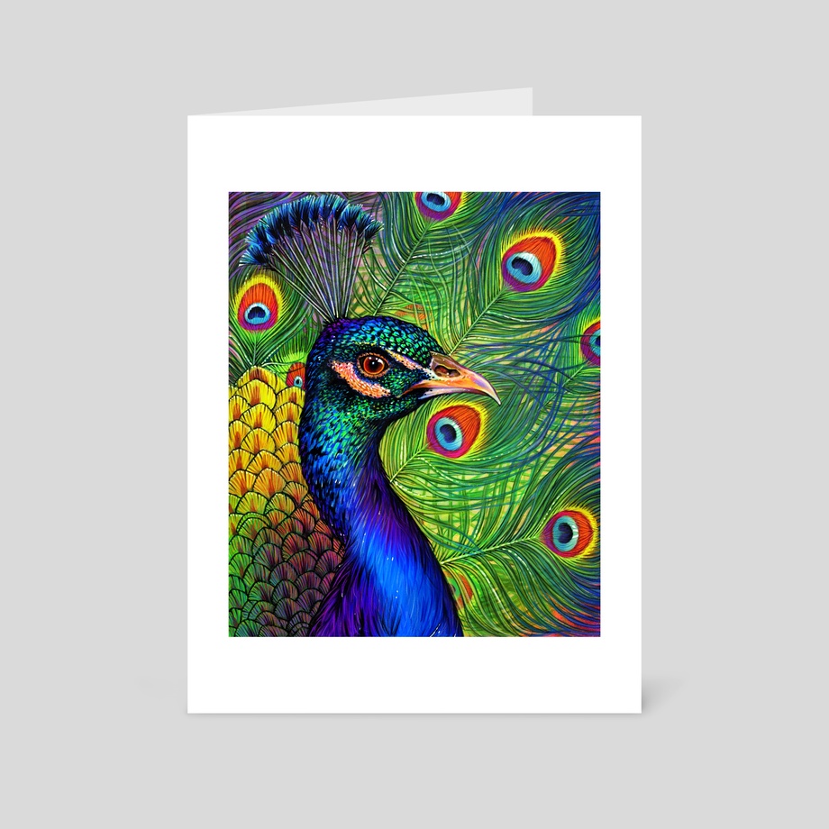 920x920 Peacock Drawing , An Art Print By Morgan Davidson