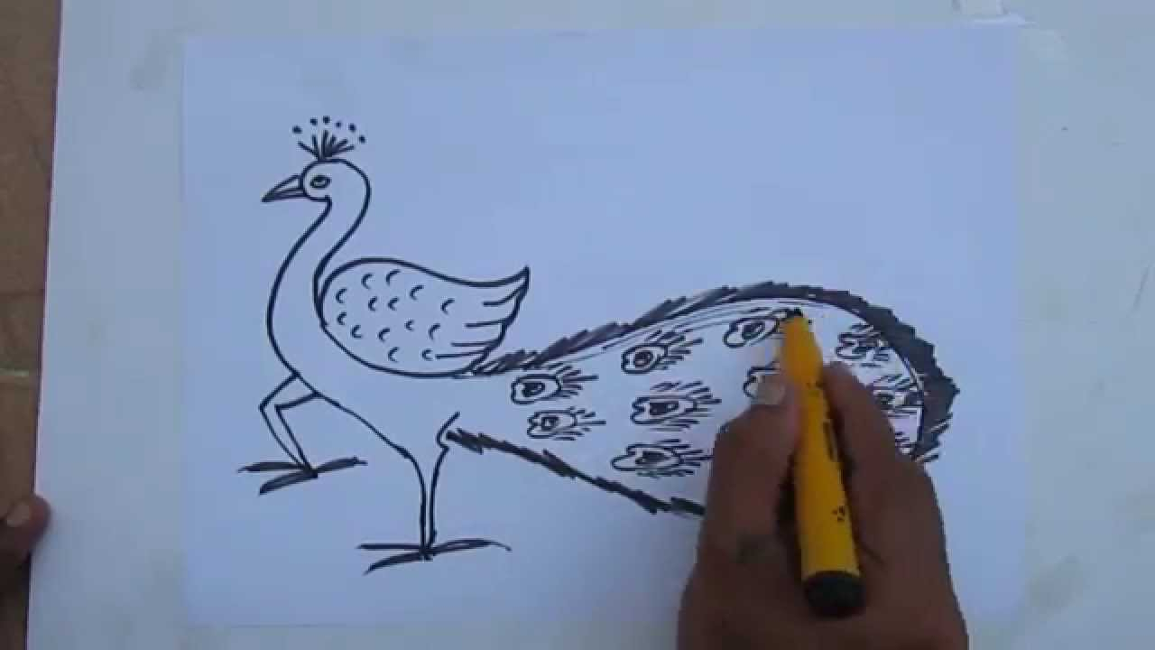 1280x720 Very Beautiful Peacock Pencil Simple Drawing How To Draw A Simple
