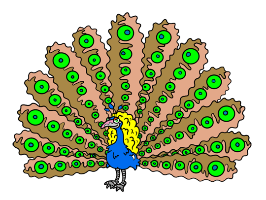 540x406 Peacock Step By Step Drawing Lesson