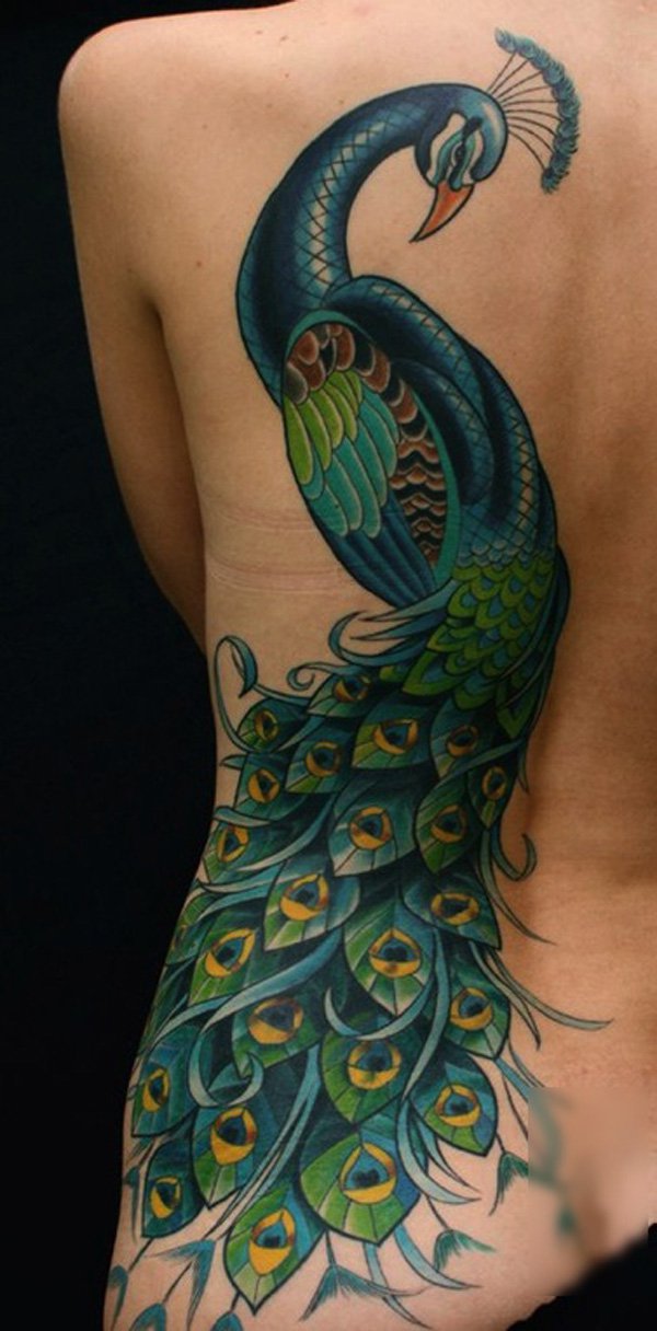 600x1216 50 Outstanding Peacock Tattoo Designs Incredible Snaps