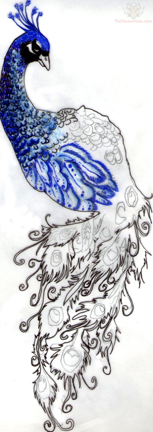 532x1503 Peacock Tattoo Designs On Sleeve