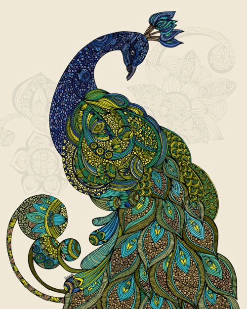 500x625 Zentangleampmandalaampzendalaampdoodleampart