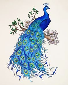 236x295 Peacock Patterns Drawings