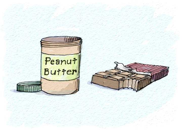 720x514 Peanut Butter Chocolate