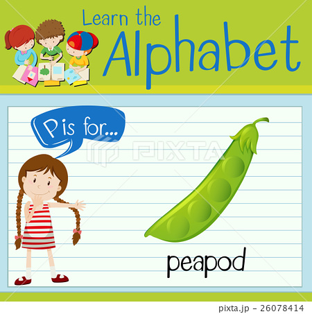 450x453 Peapod Drawing Illustrations