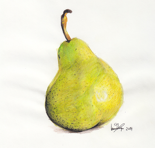 500x479 Pear Drawing Sketches