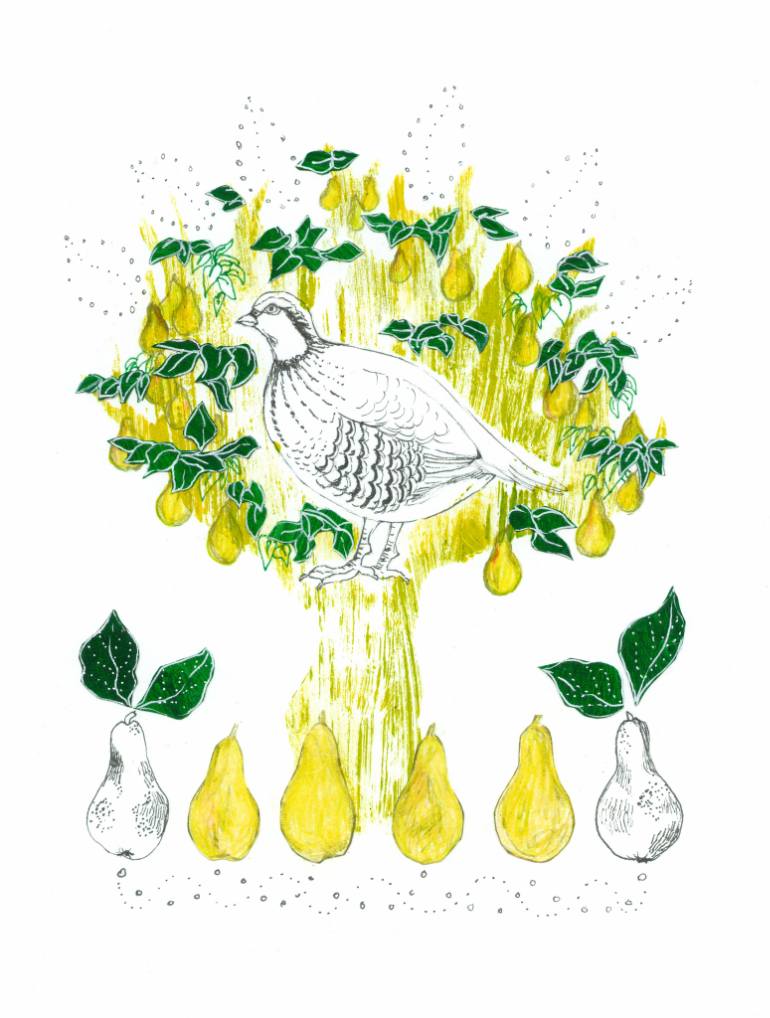 770x1018 Saatchi Art A Partridge In A Pear Tree Drawing By Sharon Farrow