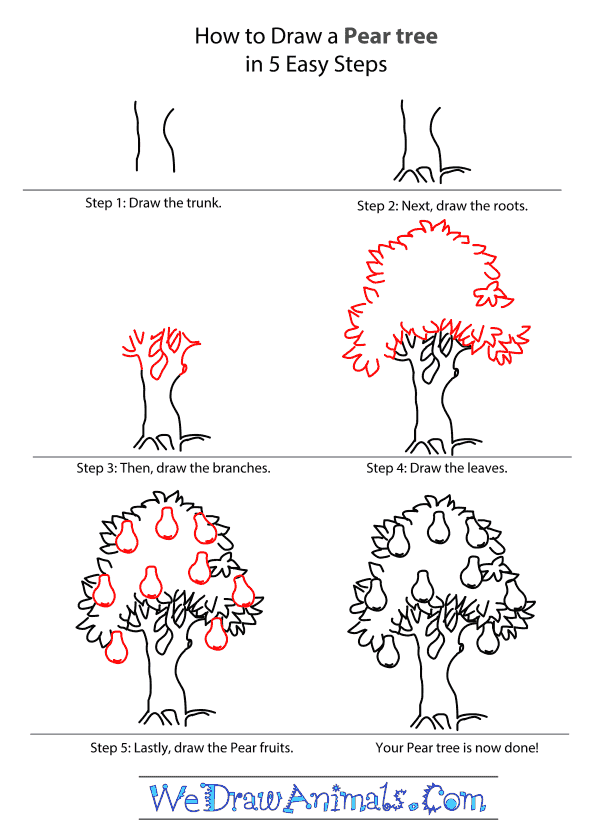 600x838 Pear Tree Tutorial.png