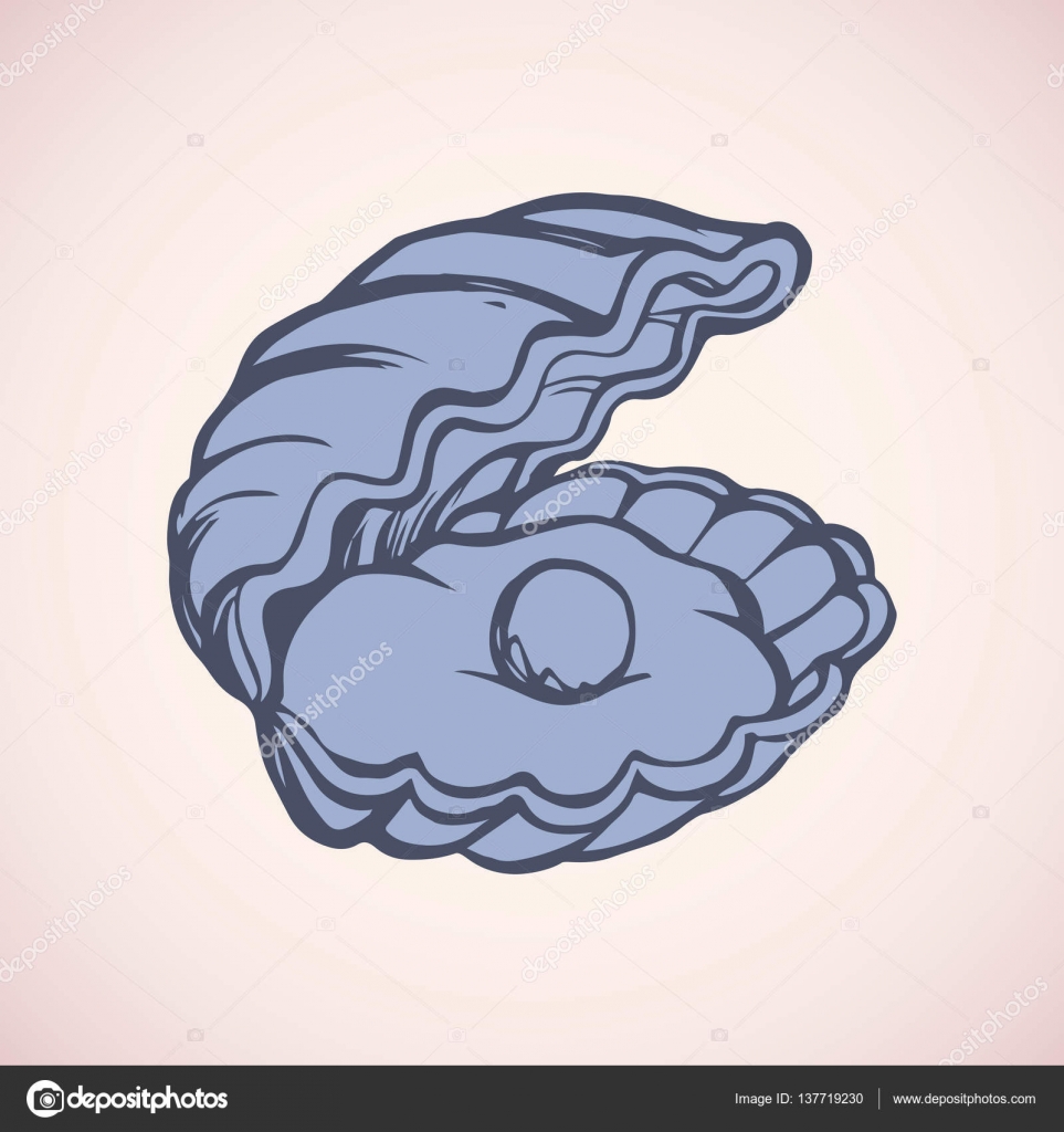 963x1024 Pearl In Shell. Vector Drawing Stock Vector Marinka