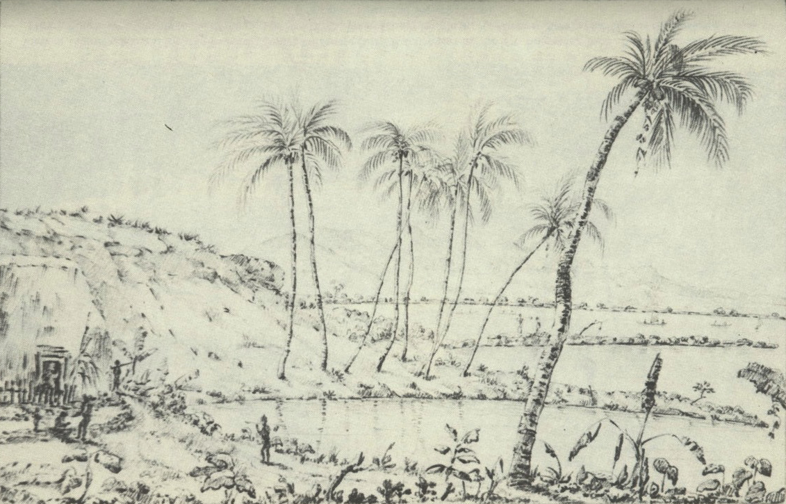 1131x725 Fileview Of Fish Ponds