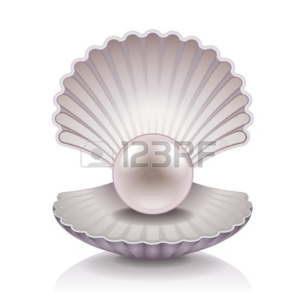 450x450 Pearl Shell Stock Photos. Royalty Free Business Images
