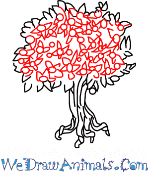300x350 Pecan Tree 05.png