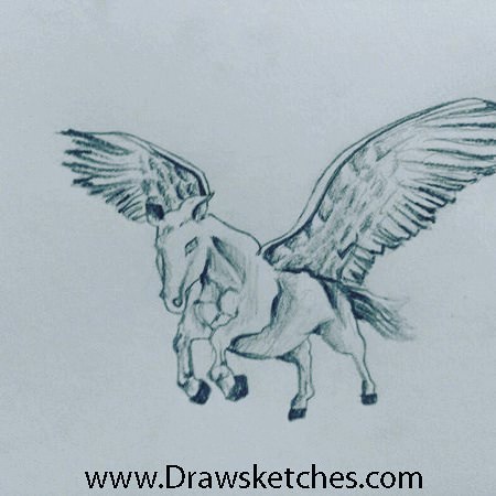 450x450 How To Draw A Pegasus